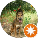 Yacov Farag profile picture