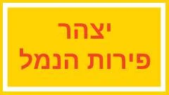 לוגו יצהר פירות הנמל